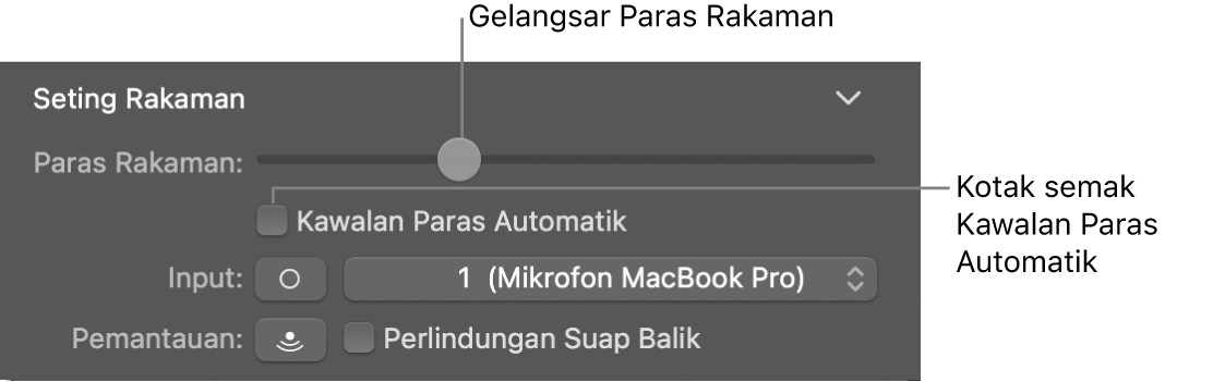 Gelangsar Paras Rakaman dan kotak semak Kawalan Paras Automatik dalam pemeriksa Smart Controls.