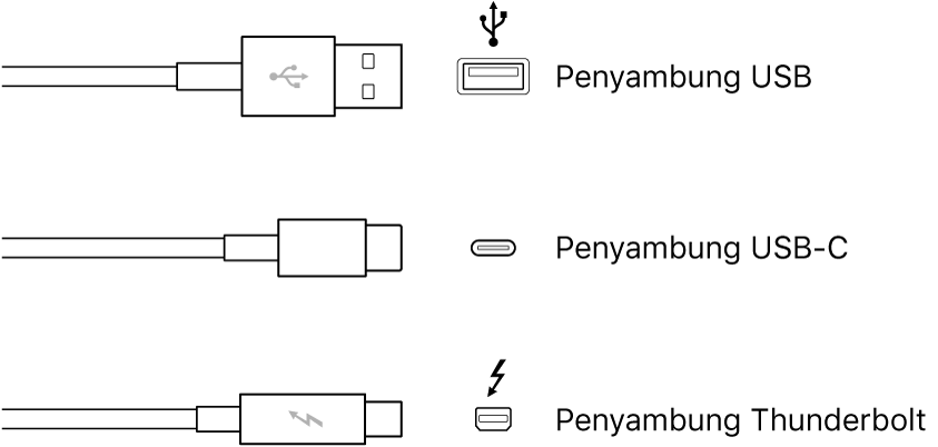 Ilustrasi jenis penyambung USB dan Thunderbolt.