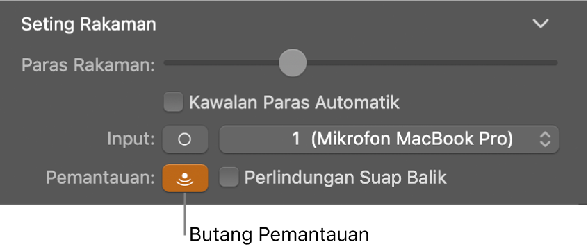 Butang Pemantauan dalam pemeriksa Smart Controls.