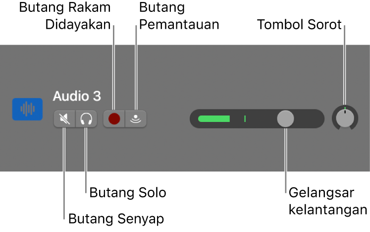 Pengepala trek, dengan kawalan ditandakan.