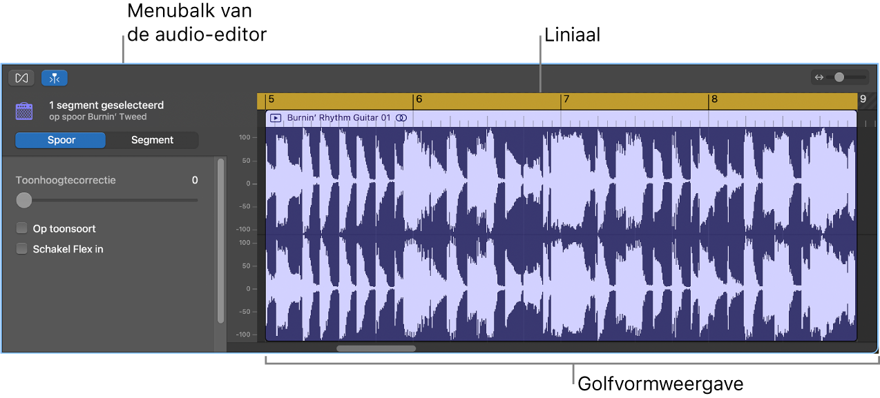 Audio-editor met geselecteerd segment.