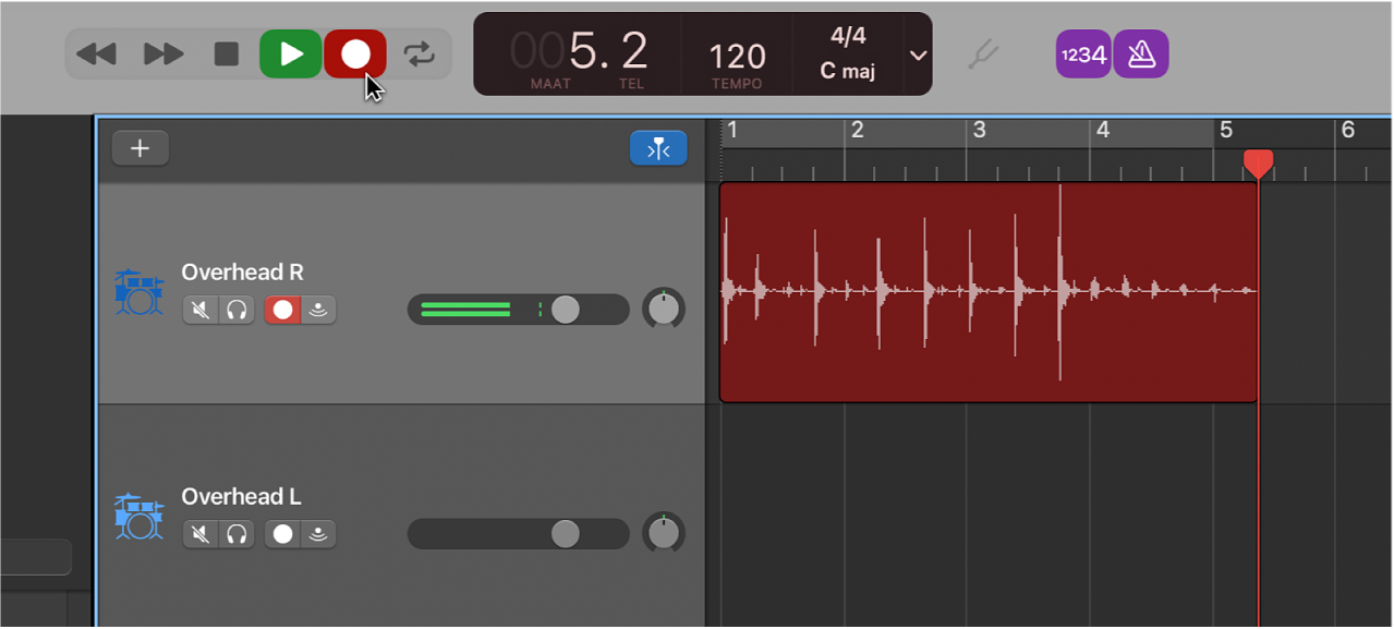 Weergave in rood van een opgenomen audiosegment in het sporengebied.