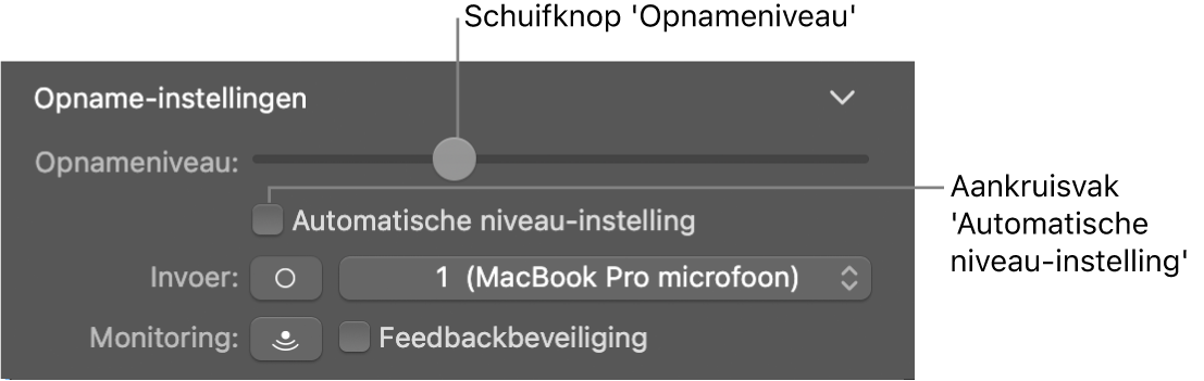 De schuifknop voor het opnameniveau en aankruisvak 'Automatische niveau-instelling' in het infovenster voor Smart Controls.