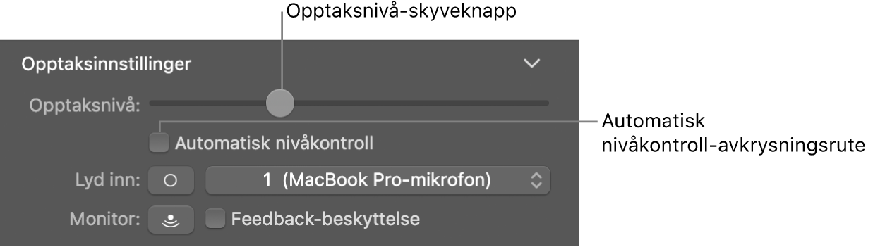 Opptaksnivå-skyveknappen og Automatisk nivåkontroll-avkrysningsruten i Smart Controls-inspektøren.