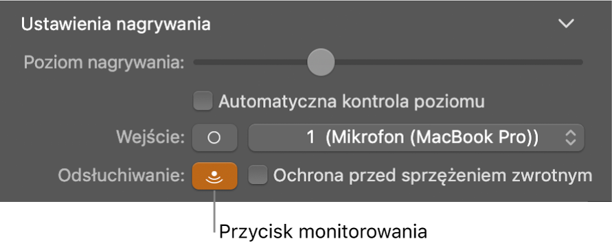 Przycisk Monitorowanie w inspektorze narzędzi Smart Controls.