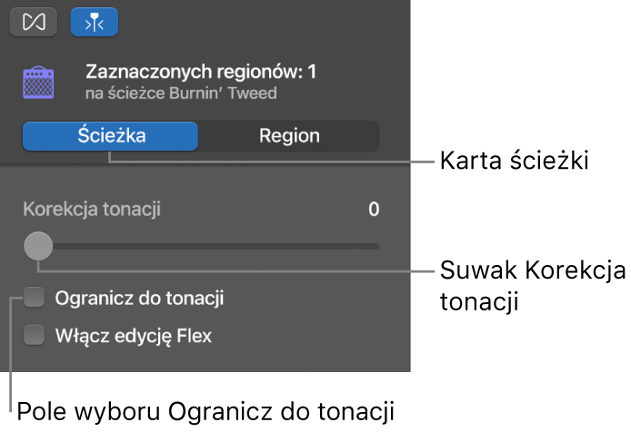 Inspektor edytora audio w trybie edycji ścieżek z suwakiem Korekcja tonacji oraz polem wyboru Ogranicz do tonacji.