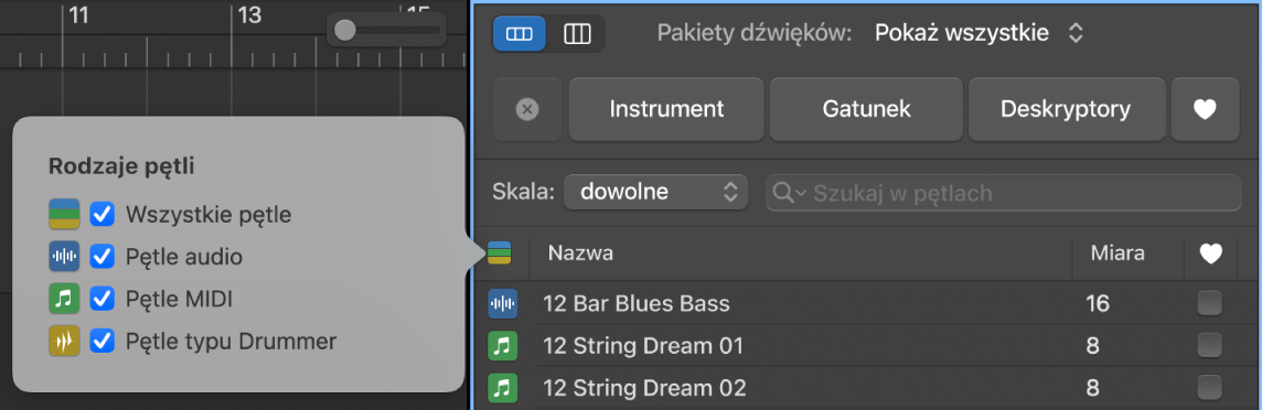 Wyświetlony został przycisk Rodzaje pętli.