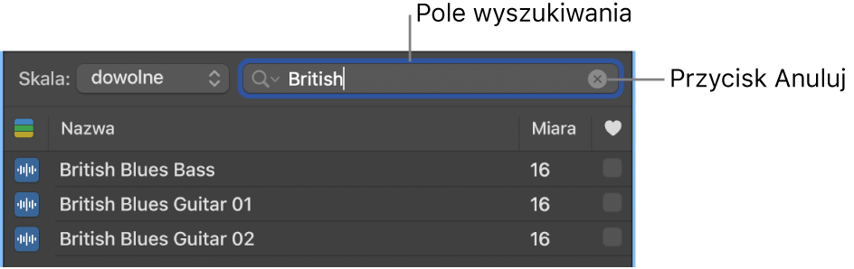 Pole wyszukiwania w przeglądarce pętli