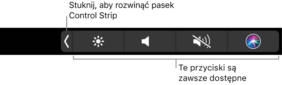Ilustracja. Touch Bar Control Strip.