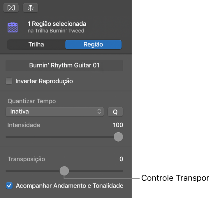Inspetor do Editor de Áudio no modo Região, exibindo o controle deslizante Transpor.