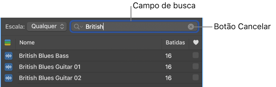 Campo de busca no Navegador de Loops.