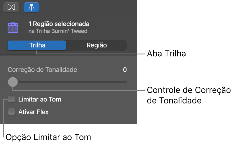 Inspetor do Editor de Áudio no modo Trilha, exibindo o controle deslizante de Correção de Tonalidade e a caixa de seleção Limitar ao Tom.