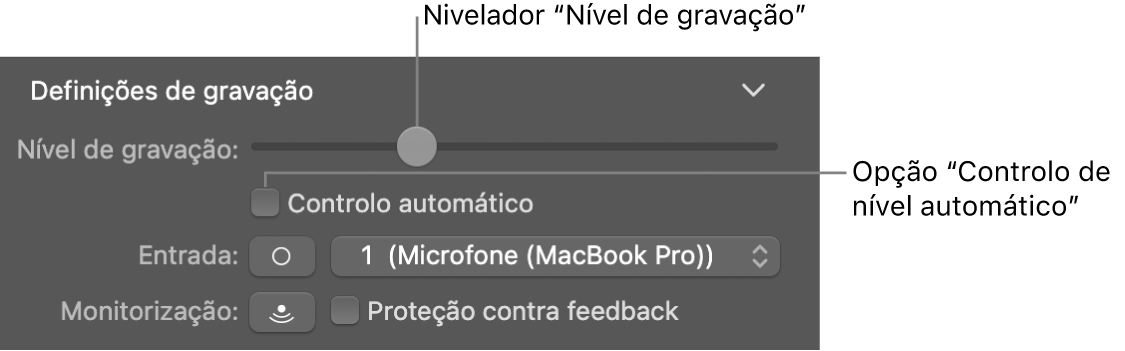 O nivelador “Nível de gravação” e opção “Controlo de nível automático” no inspetor de Smart Controls.