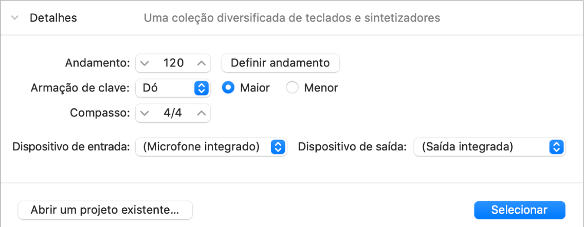 Área Detalhes do seletor de projetos aberta, a ilustrar os parâmetros