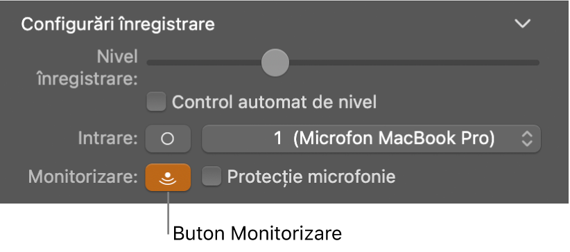 Buton Monitorizare în inspectorul Smart Controls.