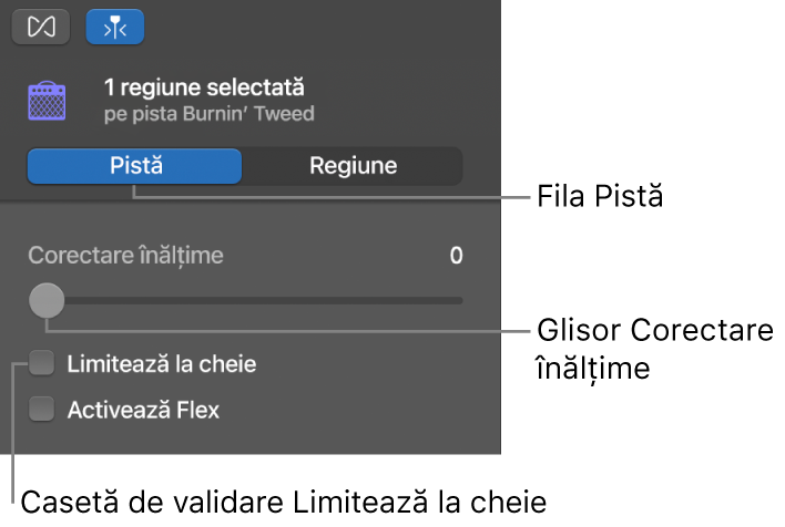 Inspectorul Editor audio în modul Pistă, afișând glisorul Corectare înălțime și caseta de validare Limitează la cheie.