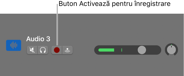 Antet Pistă afișând butonul Activează pentru înregistrare.