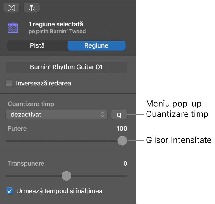 Inspectorul Editor audio afișând meniul pop-up Cuantizare timp și glisorul Putere.