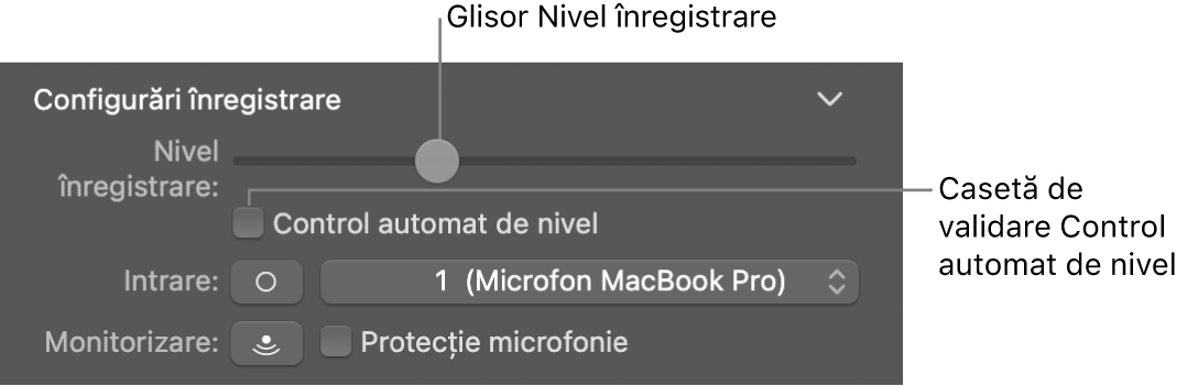 Glisor Nivel înregistrare și casetă de validare Control automat de nivel în inspectorul Smart Controls.