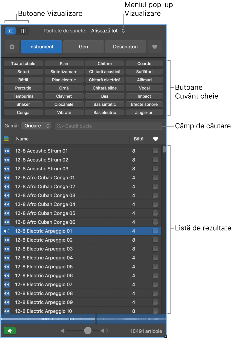 Browser de bucle.
