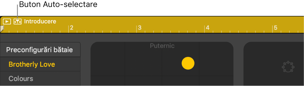 Butonul Auto-selectare Drummer.