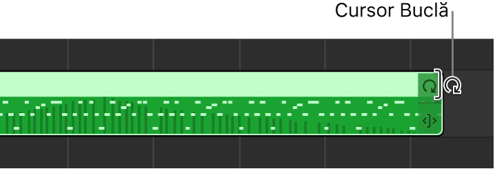 Cursorul Buclă în marginea dreaptă a regiunii.