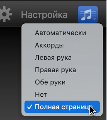 Выбор пункта «Полная страница» во всплывающем меню «Нотация».