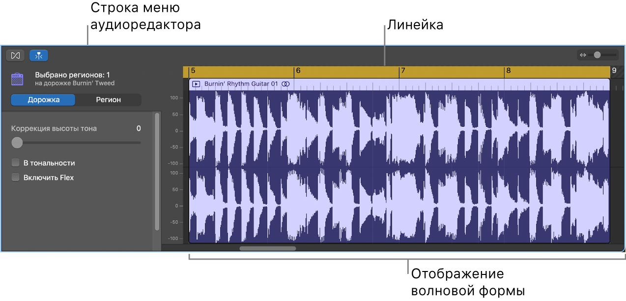 Редактор аудио с выбранным регионом.