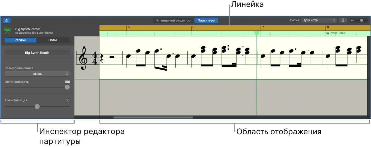 Редактор партитуры.