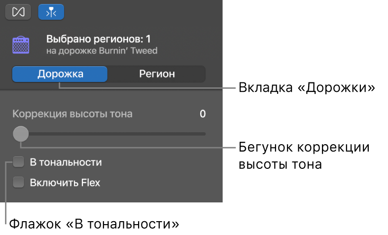 Инспектор редактора аудио в режиме дорожки — показан бегунок «Коррекция высоты тона» и флажок «В тональности».