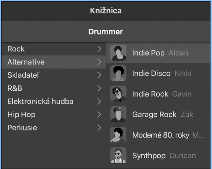 Charakterová karta v Editore Drummera.