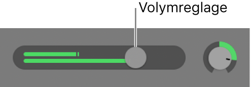 Spårrubrik med volymreglaget.