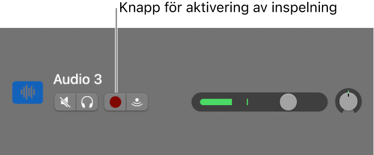 Spårrubrik med knappen för inspelningsaktivering.
