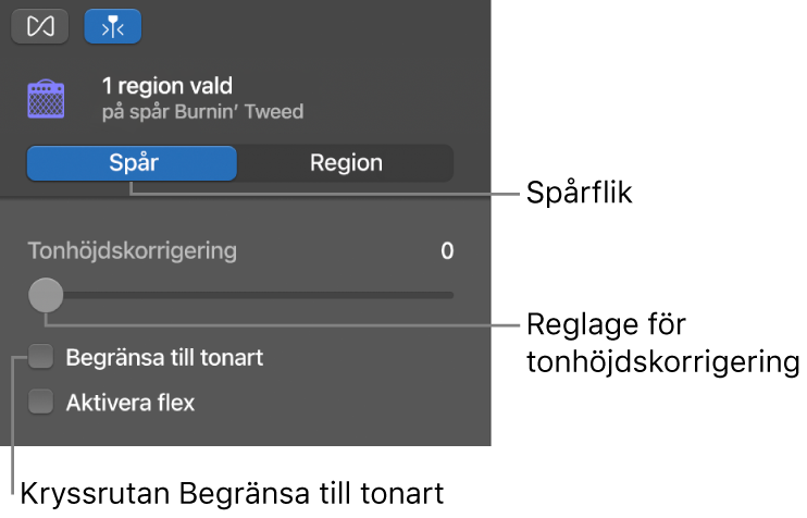 Ljudredigerarens granskare i spårläge, med reglaget för tonhöjdskorrigering och kryssrutan Begränsa till tonart.