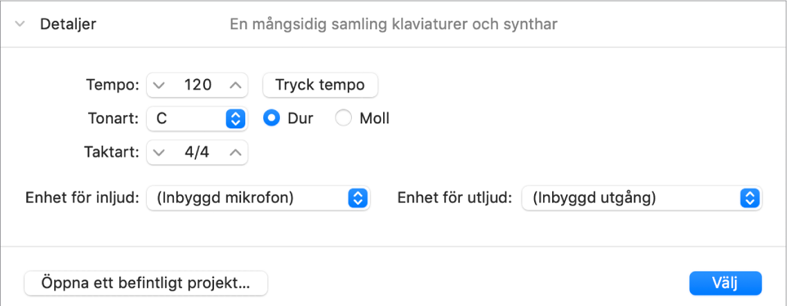 Området Detaljer i projektväljaren är öppet och parametrar visas
