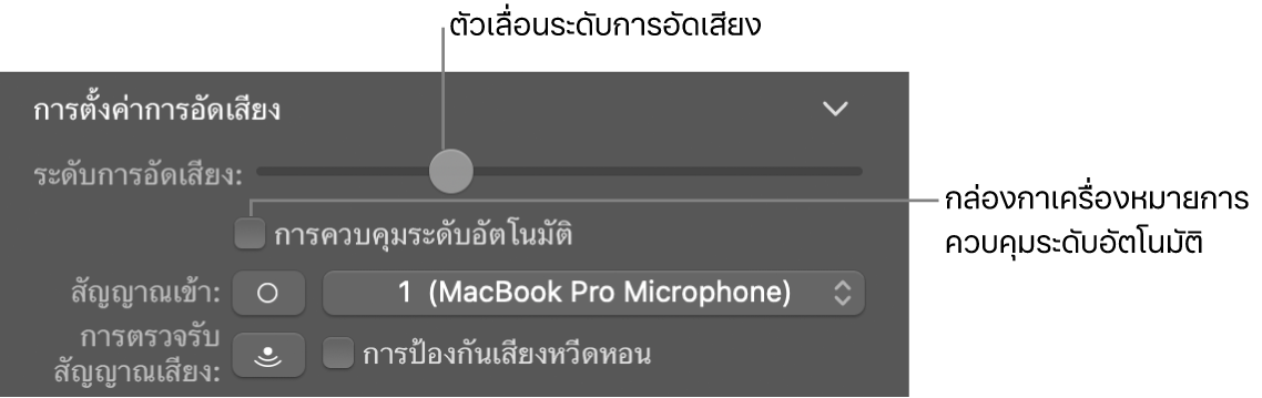 ตัวเลื่อนระดับการอัดเสียงและกล่องกาเครื่องหมายควบคุมระดับอัตโนมัติในตัวตรวจสอบ Smart Control