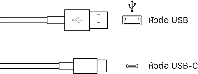 ภาพประกอบของตัวเชื่อมต่อ USB