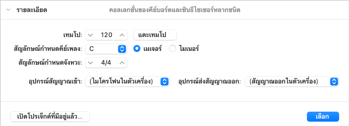 พื้นที่รายละเอียดของตัวเลือกโปรเจ็กต์ที่เปิดอยู่แสดงพารามิเตอร์