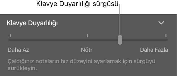 Smart Controls denetçisindeki Klavye Duyarlılığı sürgüsü.