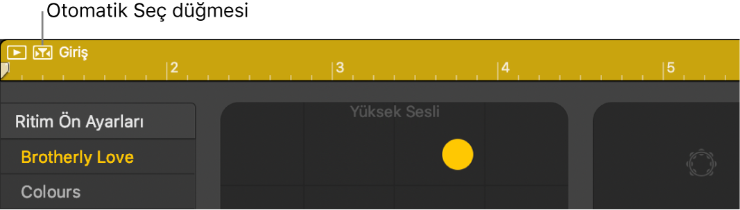 Drummer Otomatik Seç düğmesi.