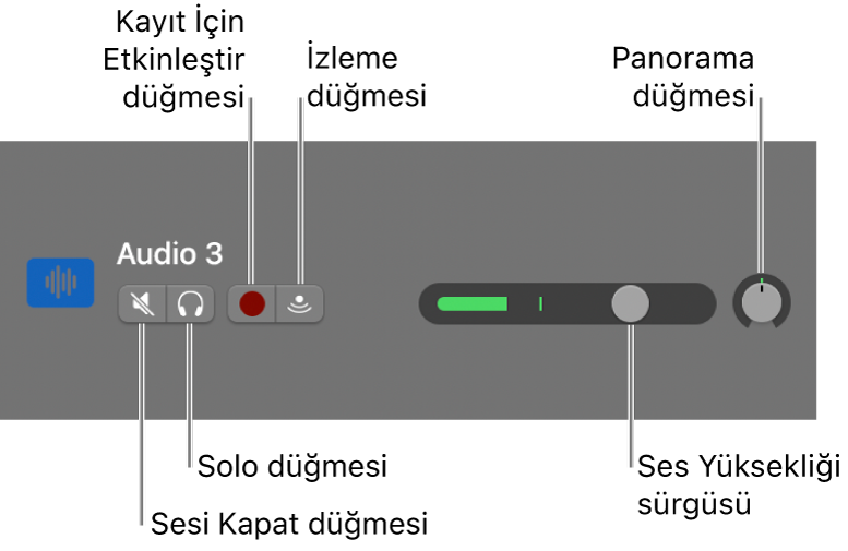 Denetimler çağrılmış olarak iz başlığı.