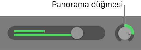 Pan düğmesini gösteren iz başlığı.