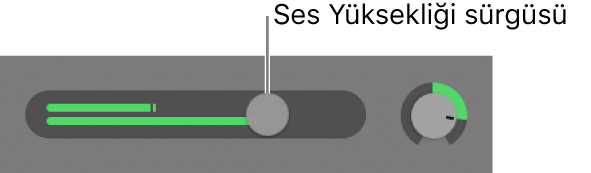 Ses Yüksekliği sürgüsünü gösteren iz başlığı.