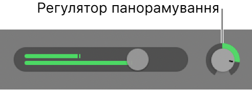 Заголовок доріжки з регулятором панорамування.