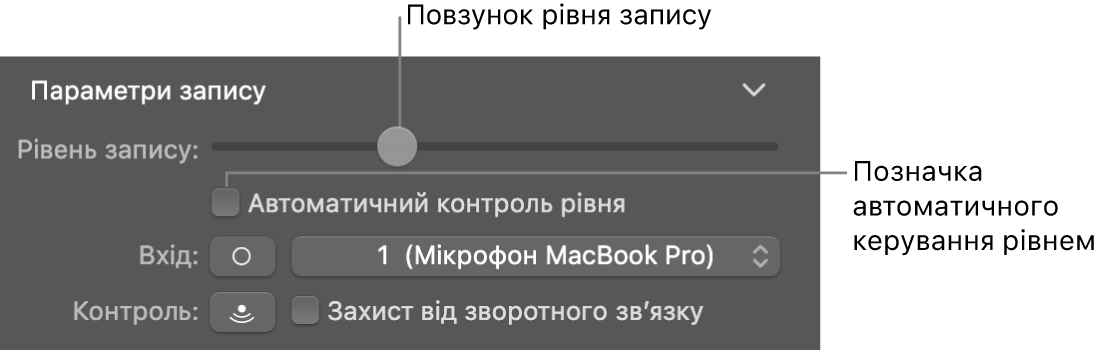 Повзунок рівня запису та позначка автоматичного керування рівнем в інспекторі Smart Controls.