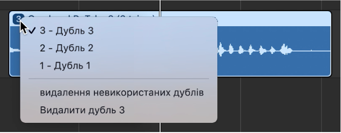 Відображення відкритого спливного меню для папки дублів.