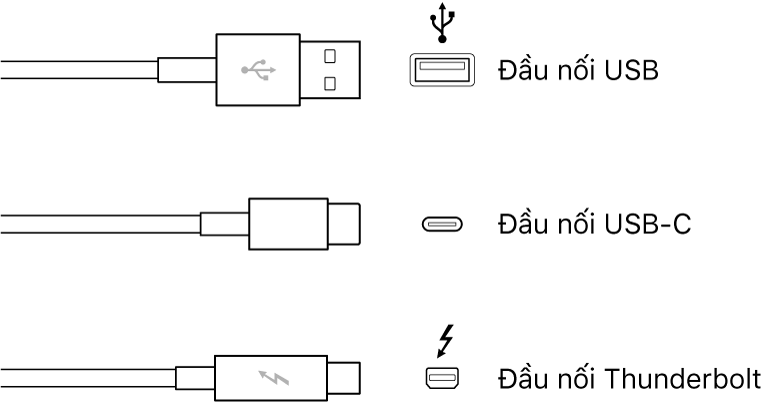Hình minh họa các loại đầu nối USB và Thunderbolt.