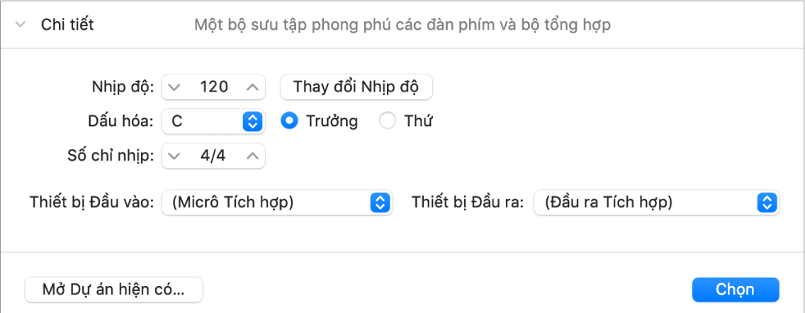 Khu vực Chi tiết của Bộ chọn dự án mở ra, hiển thị các tham số