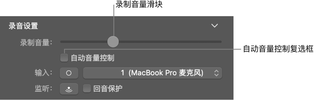 智能控制检查器中的“录制音量”滑块和“自动音量控制”复选框。