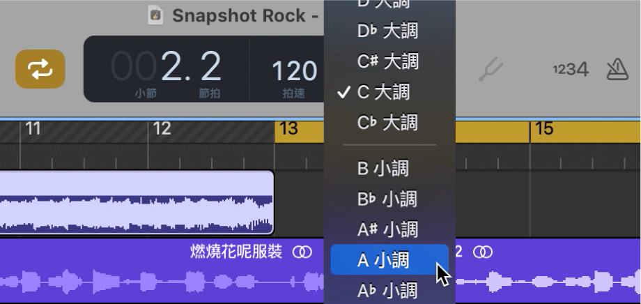 顯示「音調」彈出式選單的 LCD